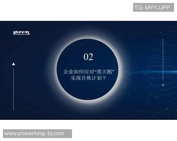 深圳排球队的蜕变与崛起精英赛特别报道揭示转型之路的背后故事